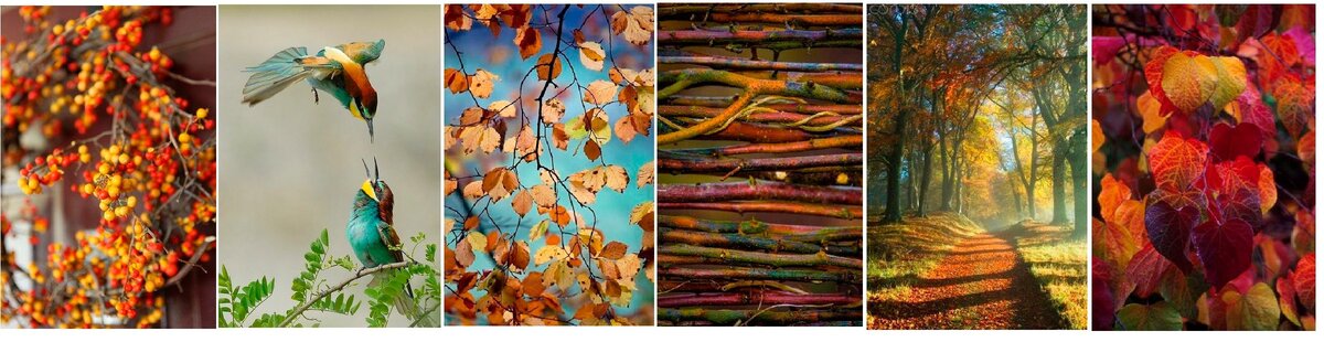 Теплая осень.