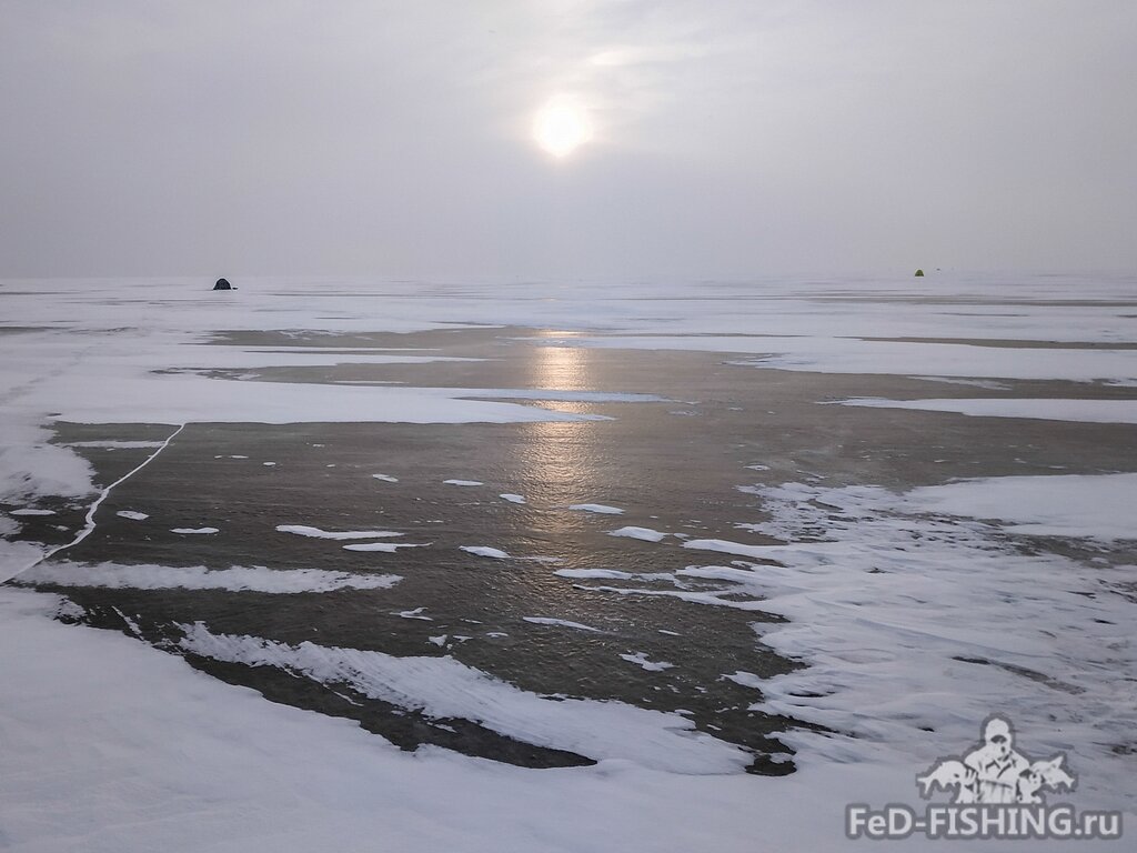 Озеро Ильмень Новгородская область /Фото с сайта fed-fishing.ru/