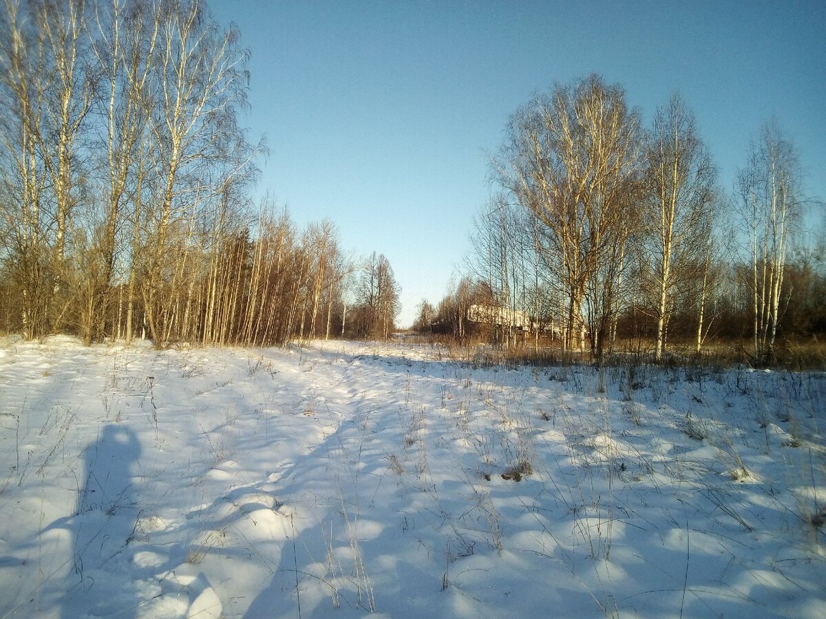 Село пришло. Свердловкая область Байкаловского района деревня шевелёва. Как выглядит зимой в Барятино это деревня.