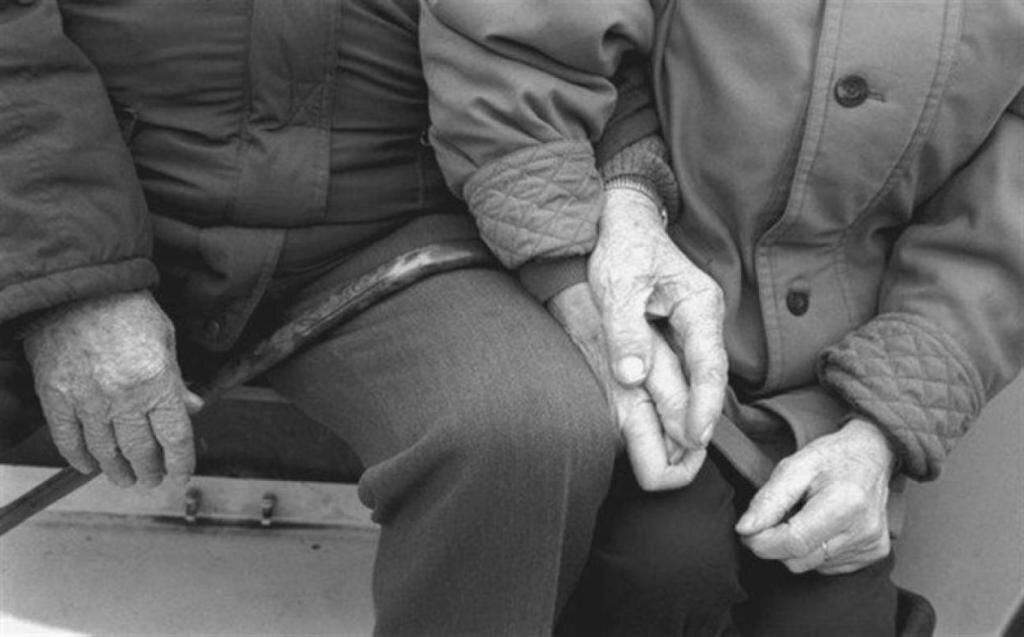 Фото взято из открытого доступа в интернете.