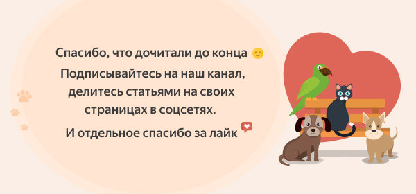 Почему хомяк не спит в домике и как успокоить его ночью: полезные советы