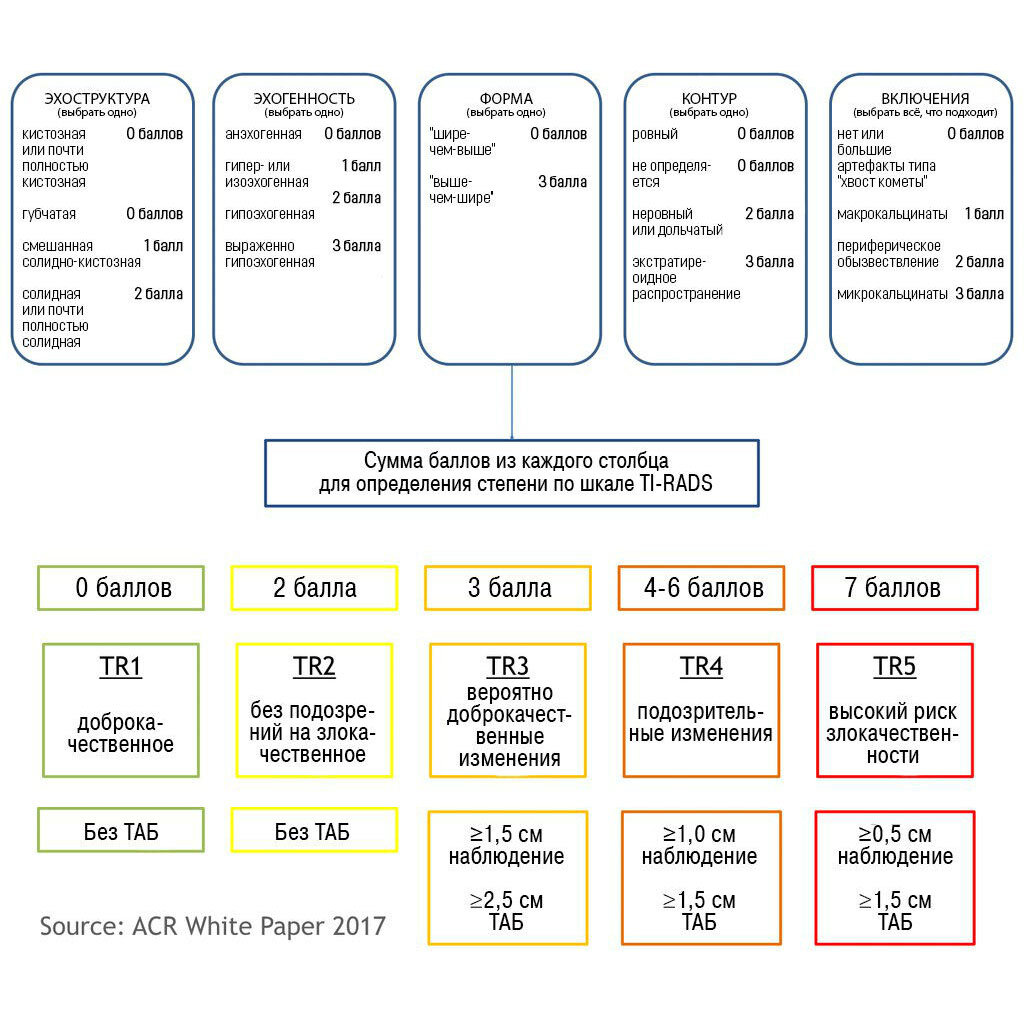 Шкала rads. Классификация Tirads щитовидная железа УЗИ. Шкала тирадс для УЗИ щитовидной железы. Тирадс классификация узлов щитовидной железы для УЗИ таблица. Классификация по Tirads щитовидной.