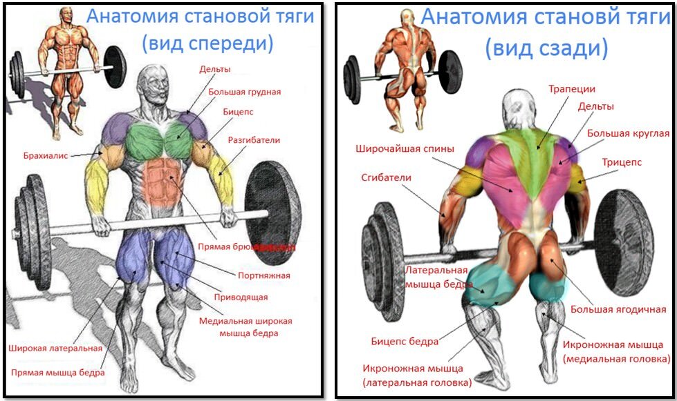 Поднимаем тестостерон естественным путем. Силовая тренировка для мужчин после 40.