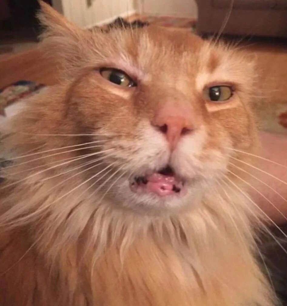 Источник: https://yandex.kz 