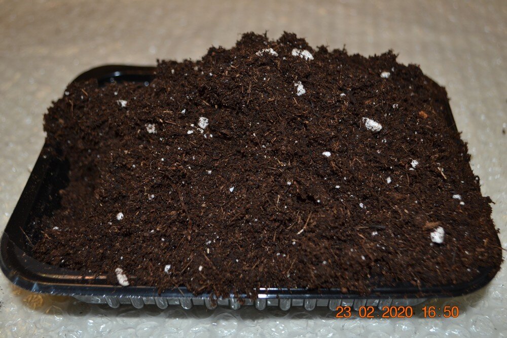 Фото из личного архива.