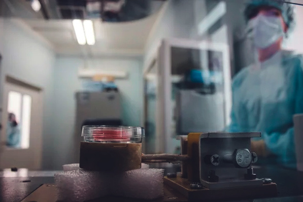 «скальпель»