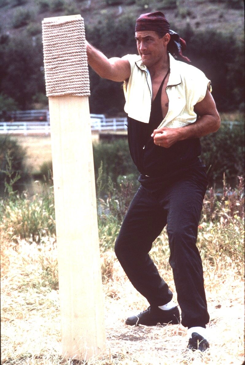 Сколько веревочка ни вейся, а Стивен Сигал всё равно поймает её и сплетёт из неё макивару.