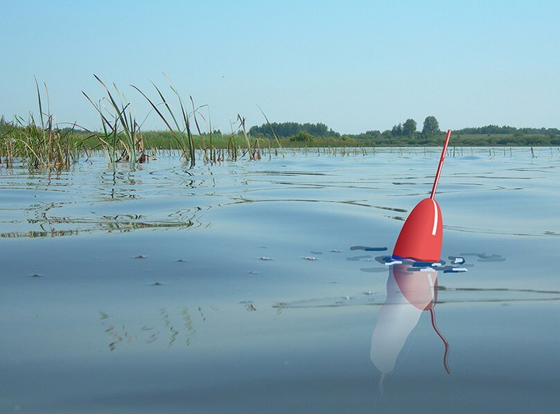 Фото взято из открытых источников 