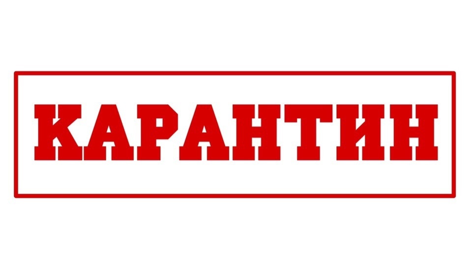 Интернет пестрит постами про то, как людям живется (тяжело, скучно- нужное подчеркнуть) на карантине. Неужели кому-то нечем заняться в свободное время и кто мучается от наличия внезапно появившегося отдыха? Да-да, именно мучается и да - именно отдыха. Хотя бы для тела (не для головы – она-то занята перемалыванием информации о коронавирусе). Мы так привыкли быть загнанными лошадками, белками в колесах и прочей рабочей живностью, что не видим преимуществ этого редкого явления для России – карантина. Если вы работник бюджетной сферы (только не врач – тьфу, тьфу, тьфу), то карантин еще краше: можно хотя бы частично восстановить дыры в ауре из-за профессионального выгорания. И не так ощутима будет дыра в финансах, как у работников коммерческой сферы. Итак, что же делать, если свободное время застало вас врасплох: 
- в первую очередь, конечно, выспаться (2-3 дня обычно для этого достаточно);
- навести порядок в доме (разобрать то, что давно нужно было разобрать, расхламиться по полной программе);
- полноценно пообщаться с семьей (отговорки, что все заняты уже не сработают. А вы, кстати, знаете какого цвета глаза у ваших ближайших родственников? А о чем мечтает ваш ребенок? Самое время узнать.);
- прочитать и посмотреть то, что давно запланировал;
-позвонить/написать тем, кому давно собирался (сейчас как никогда ощущается хрупкость свободы, желаний и прочего, что составляет счастье);
- «замедлить» время – сесть и спокойно подвести итог: что есть в вашей жизни и чего вы еще хотели бы достичь. И вполне возможно, что карантин для вас станет не испытанием, а взлетной полосой. Берегите себя!
А как вы проводите карантинное время? Делитесь в комментариях.


