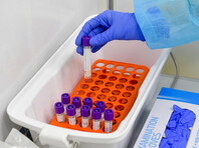 Источник фото:yandex.ru