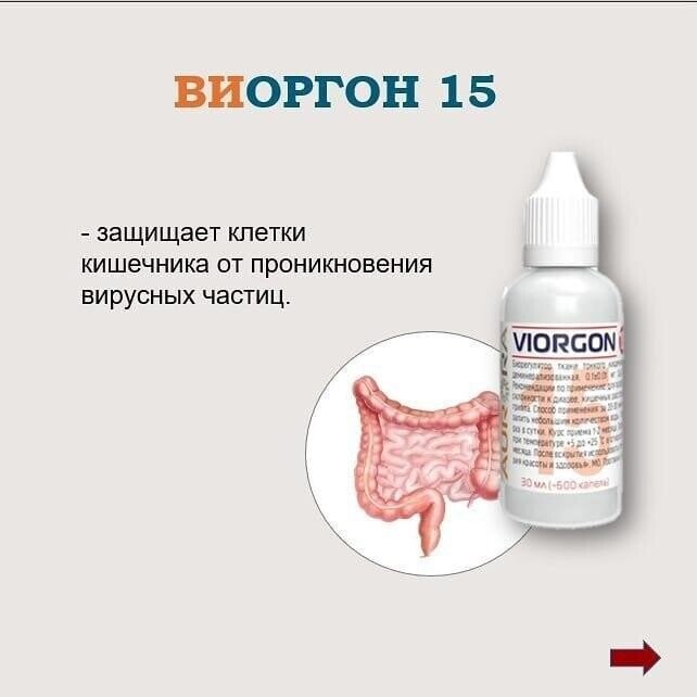 🍀 "Aurora" 🍀 Виоргон 15 !! | Компания "AurOra " | Дзен