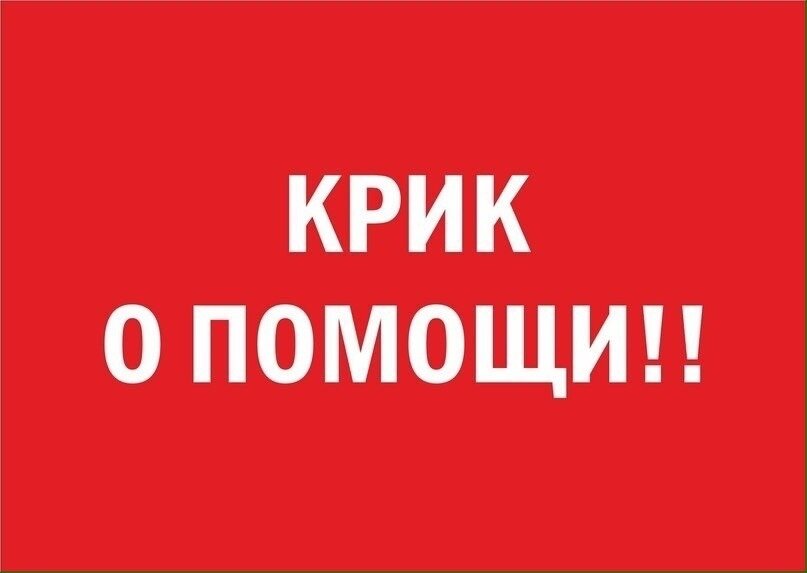 крик помощи обращение к людям. воспитание в семье. родители и лети кричат. человек кричит в лесу. кричит о помощи.