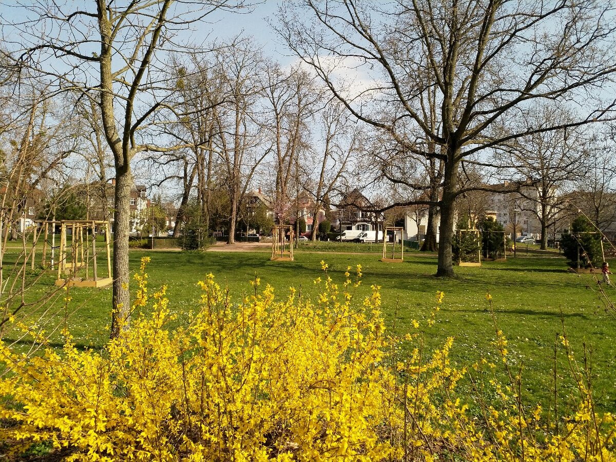 Весна в Страсбурге - 16.03.2020