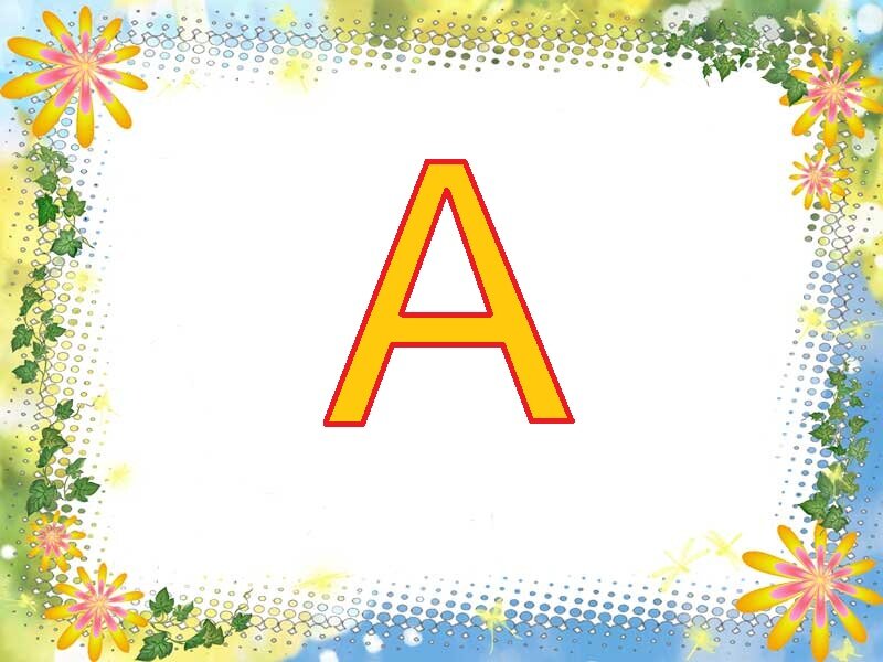 фото взято из общего доступа сети интернет.