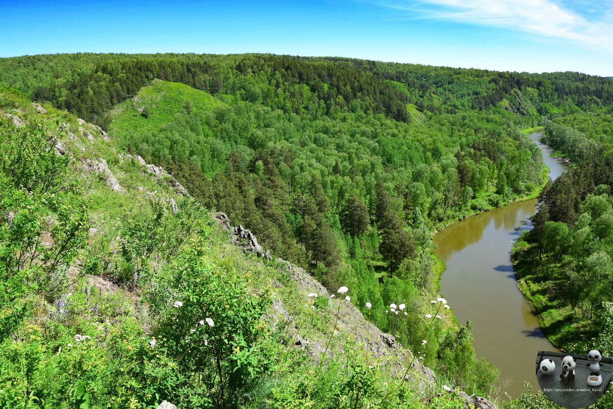 березовские скалы маслянинский район. зверобой заповедник бердские скалы. скалы нсо. салаирский кряж новосибирская область. скалы нсо.