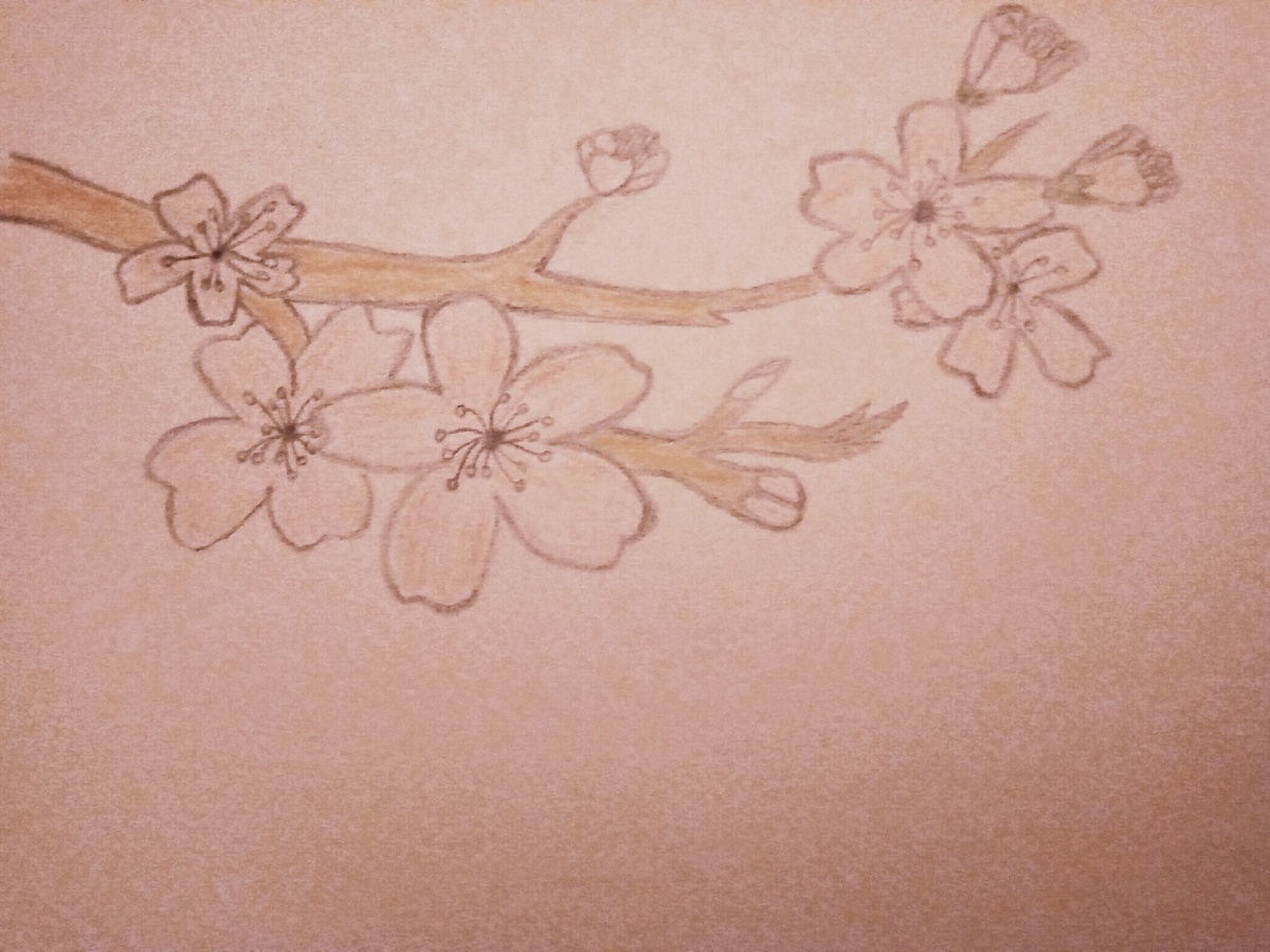 Рисунок автора (я не художник,а картинка нужна была)