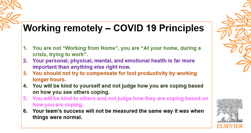 Принципы кампании *Фото взято из открытых источников