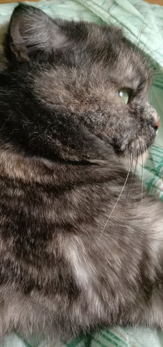 Фото автора. А я чего? Я ничего