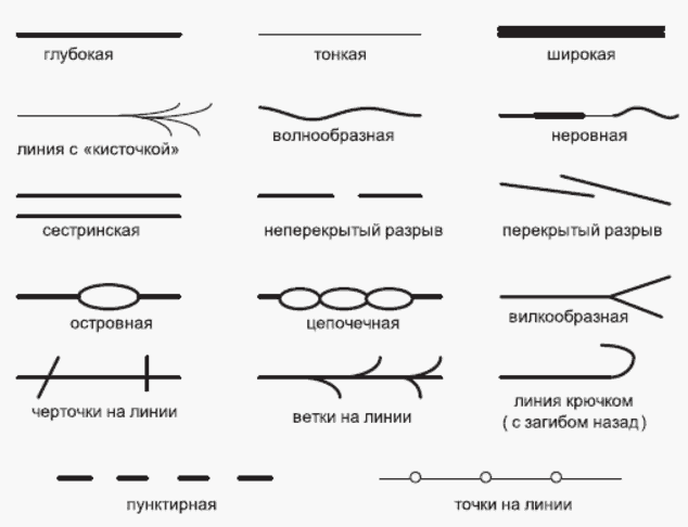 Первая иллюстрация к книге Хиромантия. Практический курс в картинках с описанием - Андрей Десни