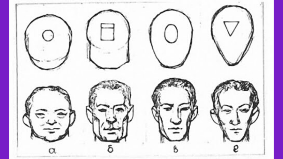 Виды головы. Форма черепа физиогномика. Физиогномика форма головы. Форма головы человека криминалистика. Портрет изменщицы физиогномика.