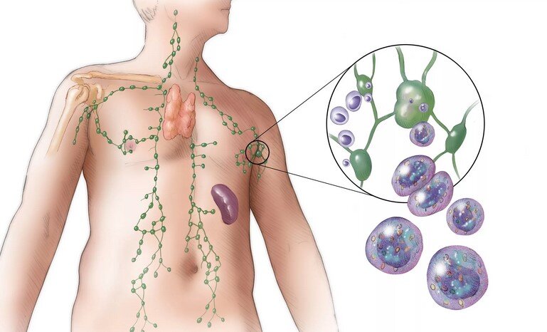 Картинка из открытых источников