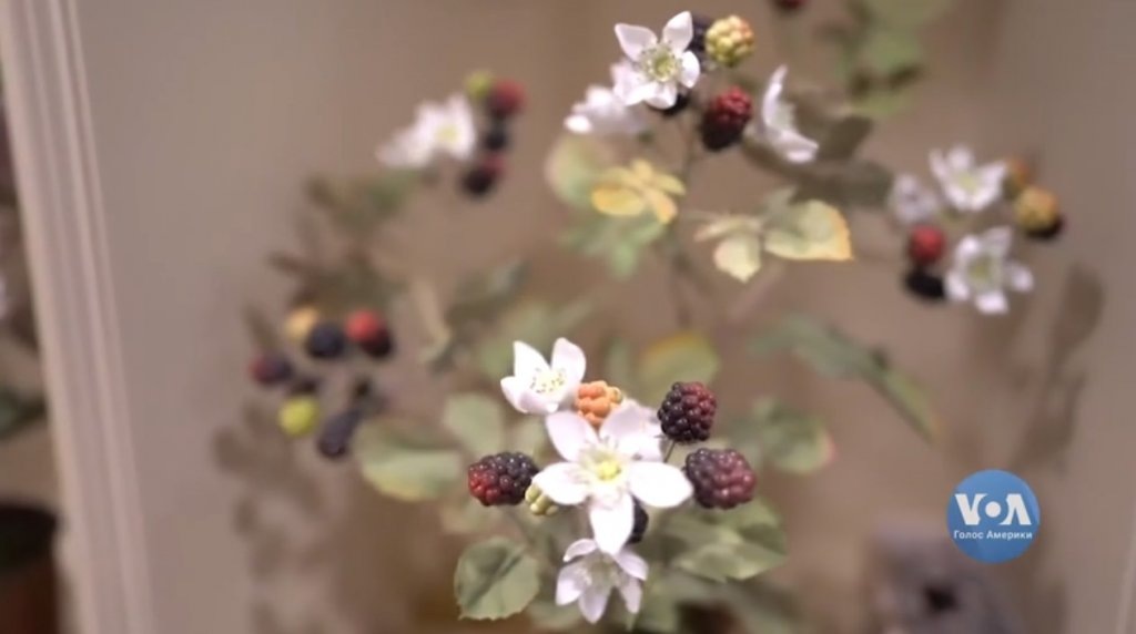 Фото: кадр видео ukrainian.voanews.com