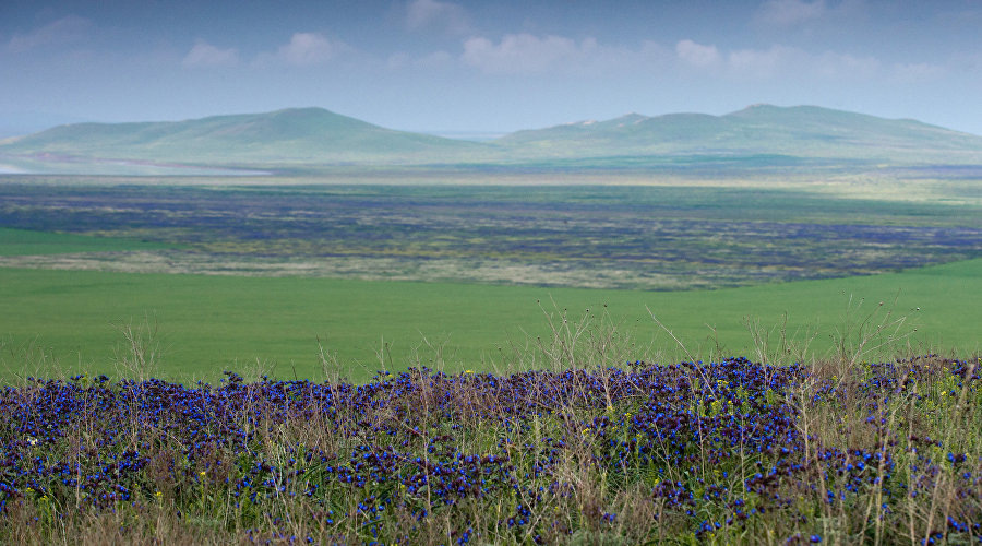 Опукский природный заповедник в Крыму / Фото: RIA Novosti, Сергей Мальгавко