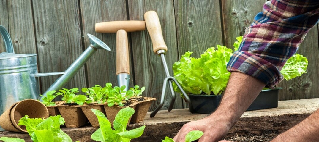 10 главный хитростей для садоводов и огородников, которые Должен знать каждый