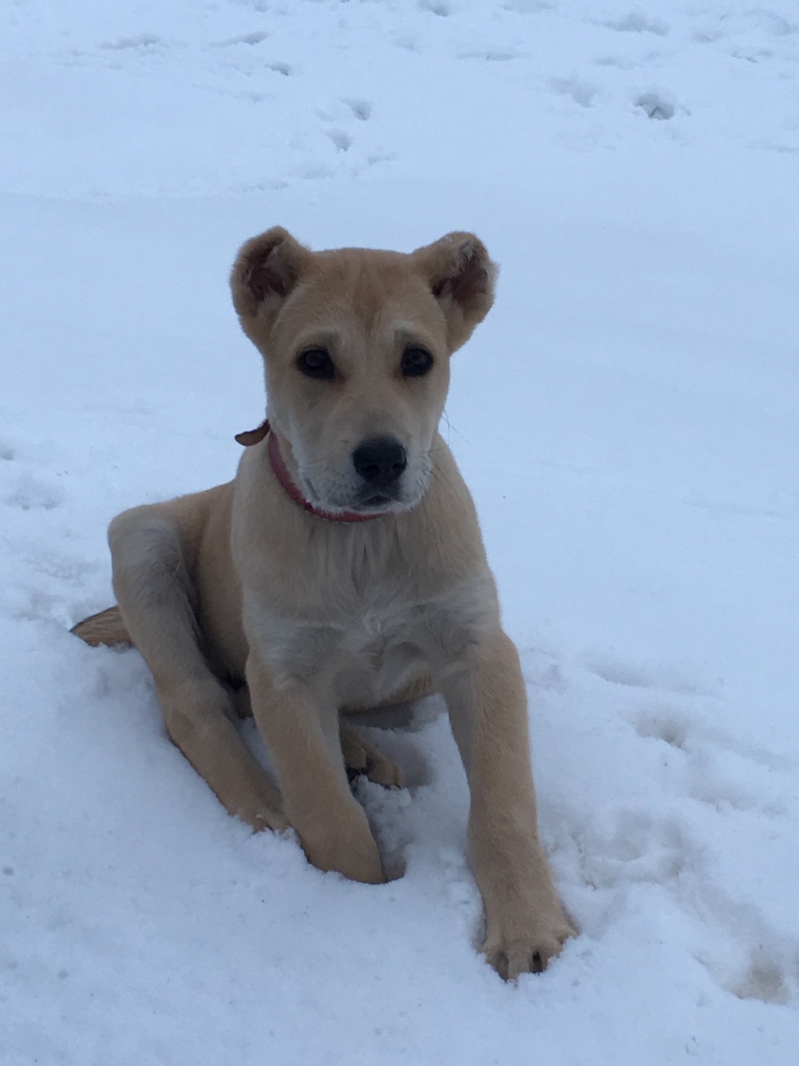 вот такая милаха была