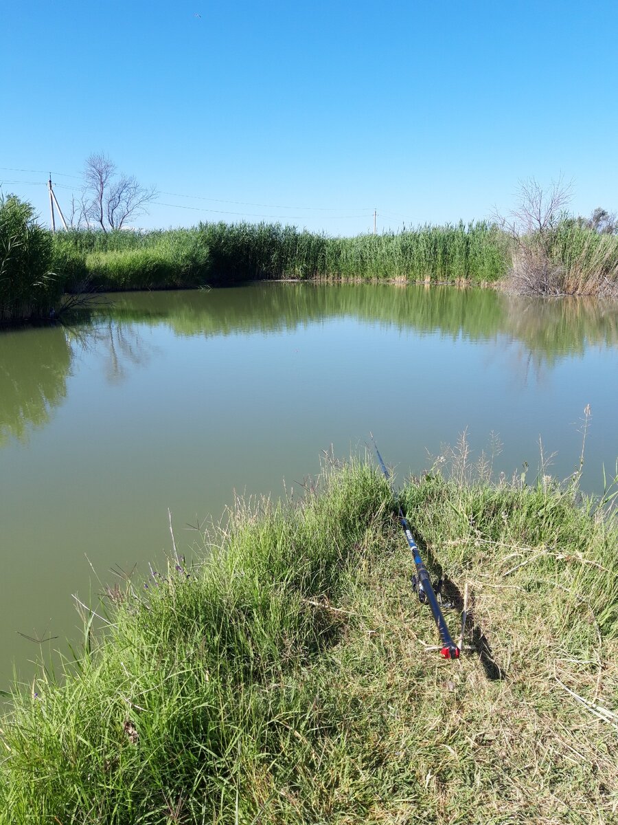 Одиночество....