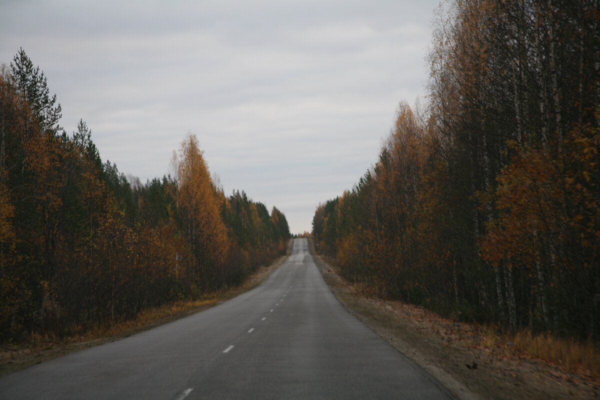 Дорога в Медвежьегорск.