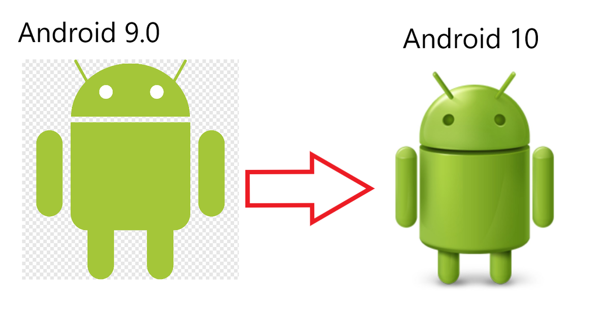 фото из личного архива