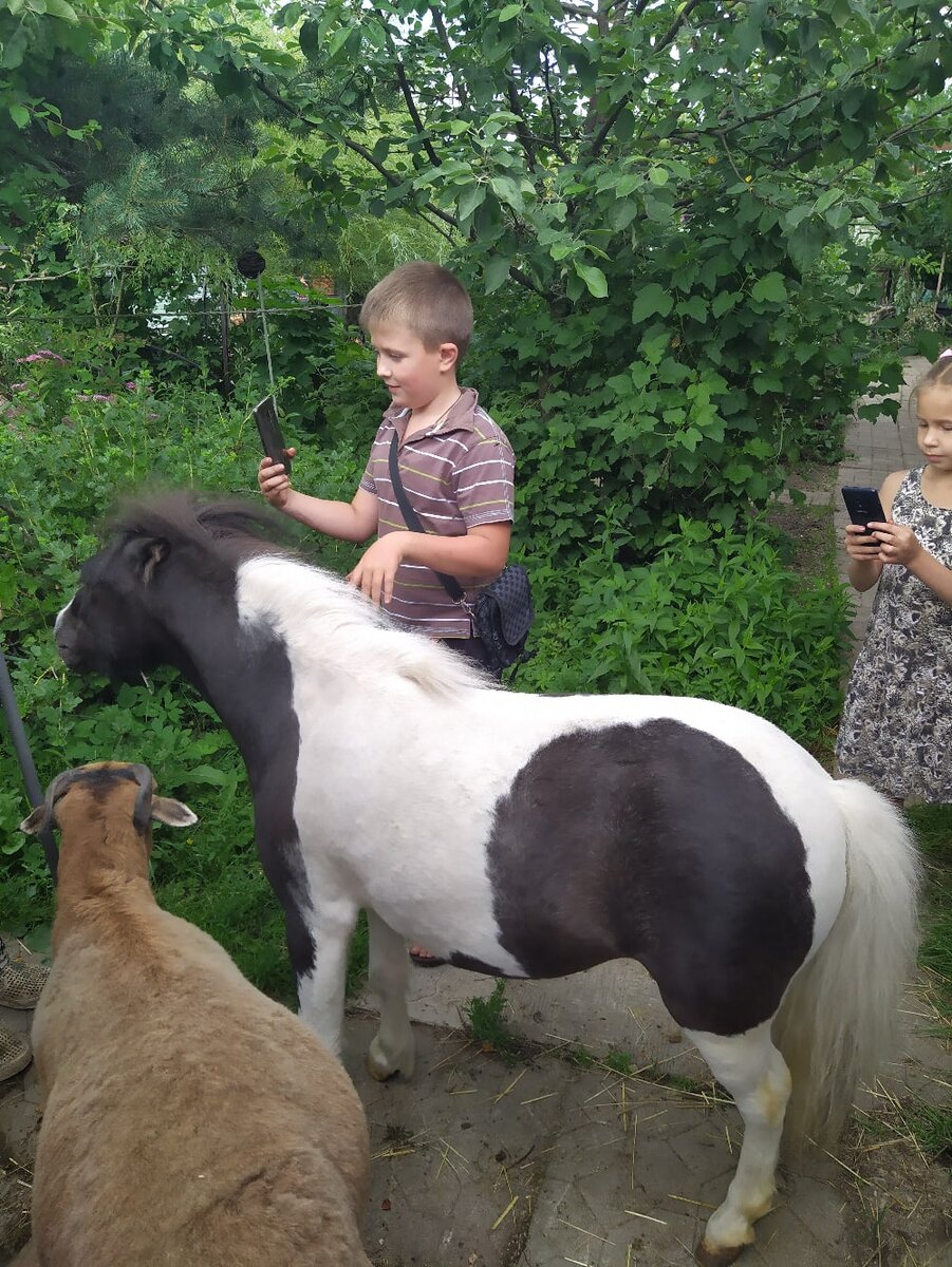 Кирюша и Гаврюша