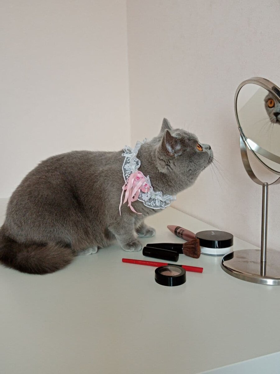 Шедевр №2 «Утренний марафет»