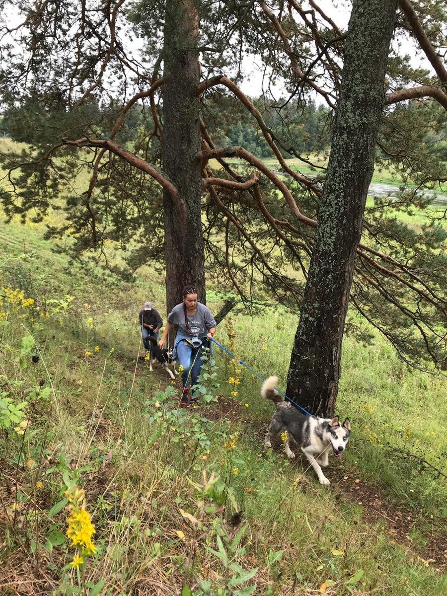 После отпуска мы с огромным удовольствием обошли всю округу