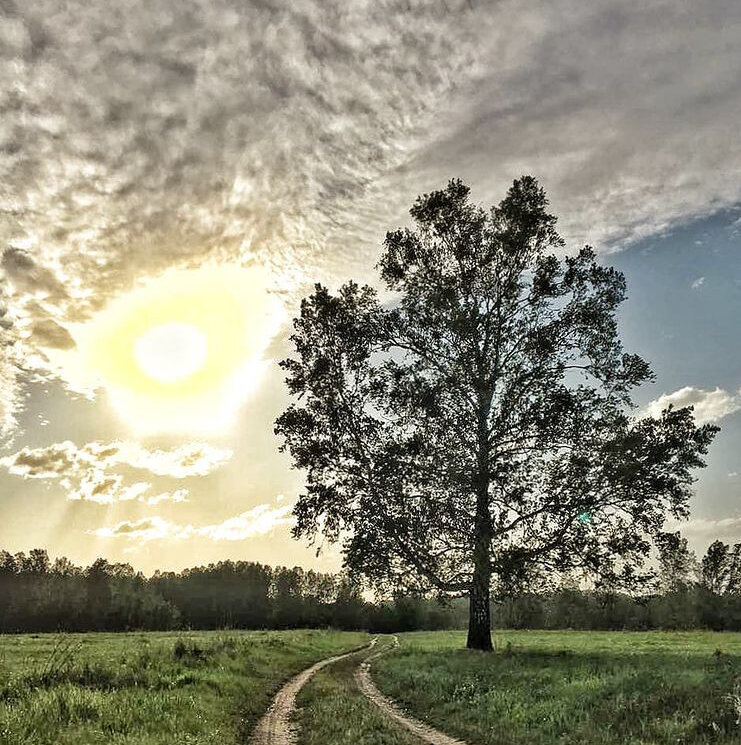 Те самые 1,5 км бездорожья, «протоптанные» самостоятельно