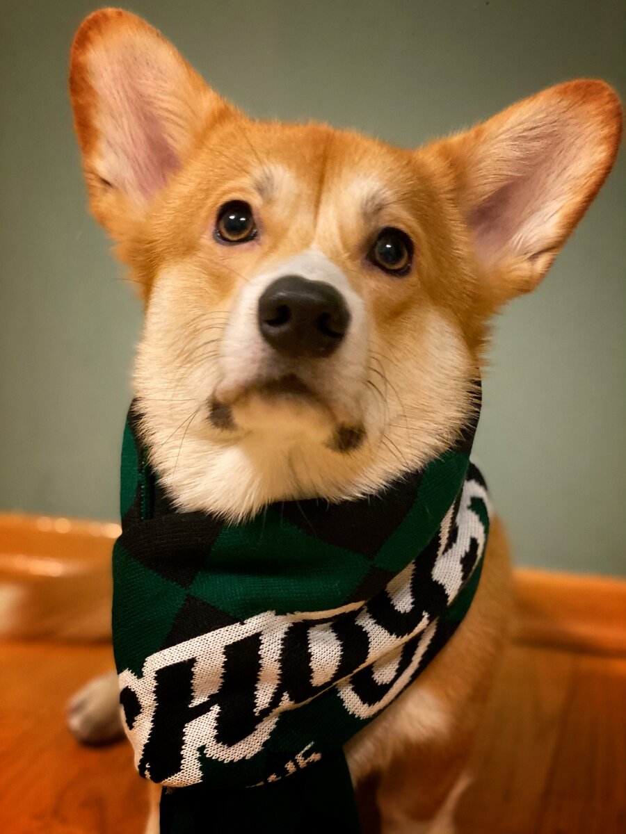 (С) Фото автора канала