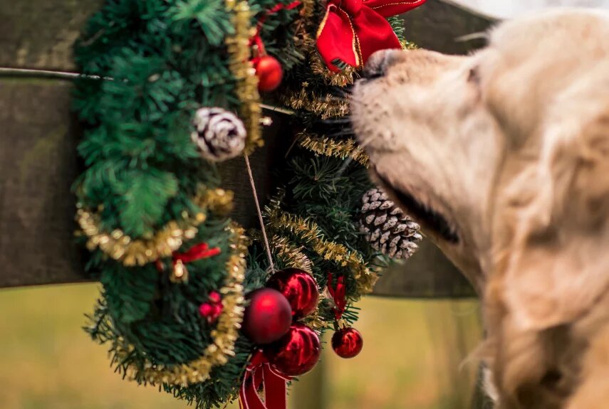 Фото: unsplash.com