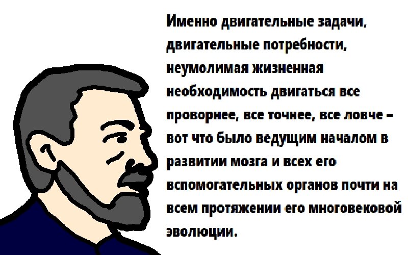 Николай Александрович Бернштейн, советский учёный
