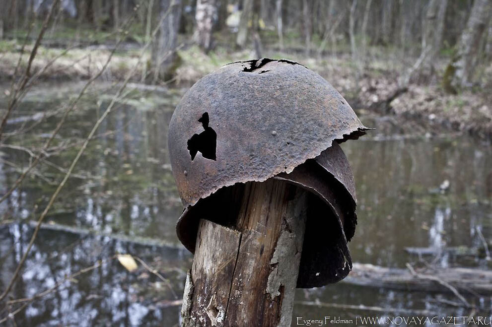 источник: https://bigpicture.ru/wp-content/uploads/2011/05/1085.jpg