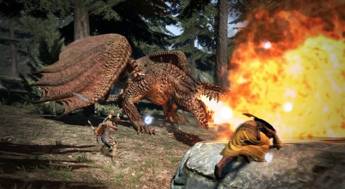 Dragon's Dogma Скриншот из игры. Источник : kanobu.ru