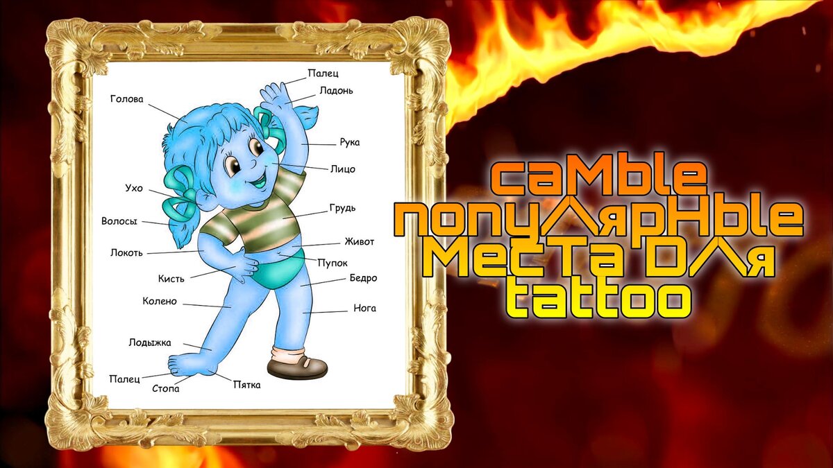 картинка автора