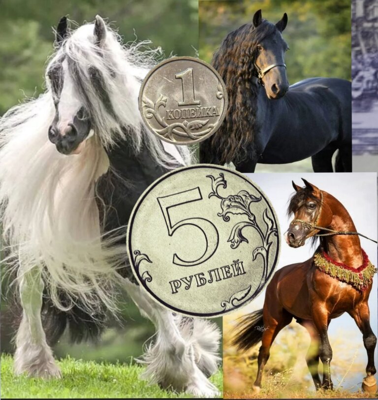 Фото из интернета.