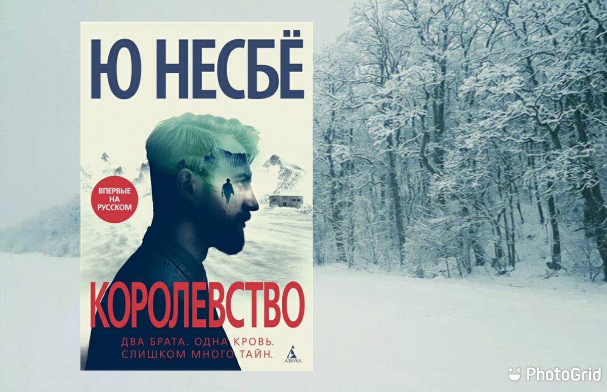 "Королевство" (обложка книги)