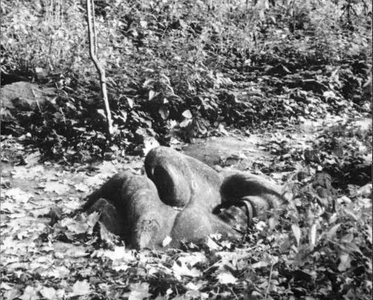 Фото: Измайловский парк. У дома скульптора Меркурова. 1988. Pastvu.com 