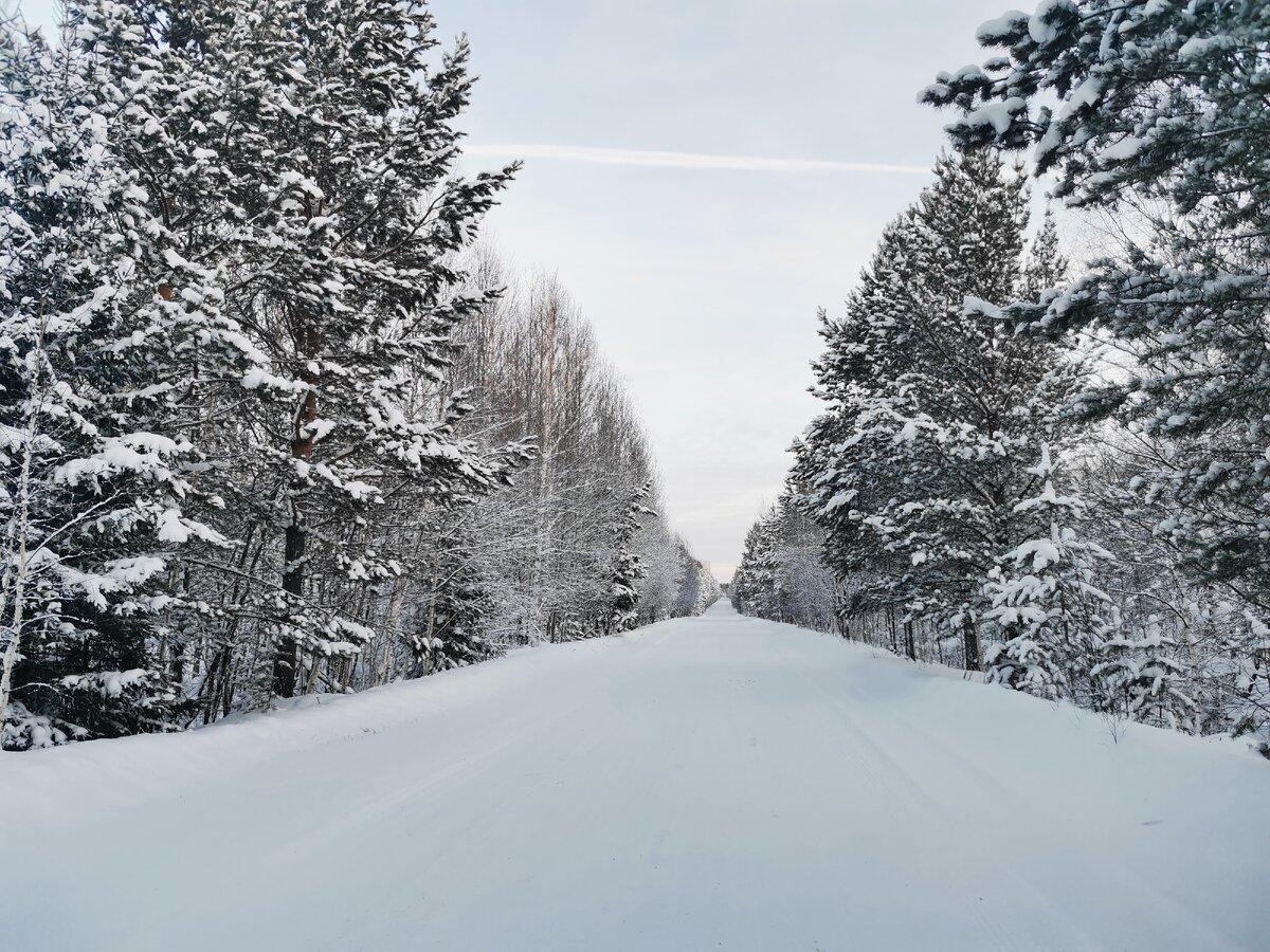 Зимняя дорога очень красива! >>>>