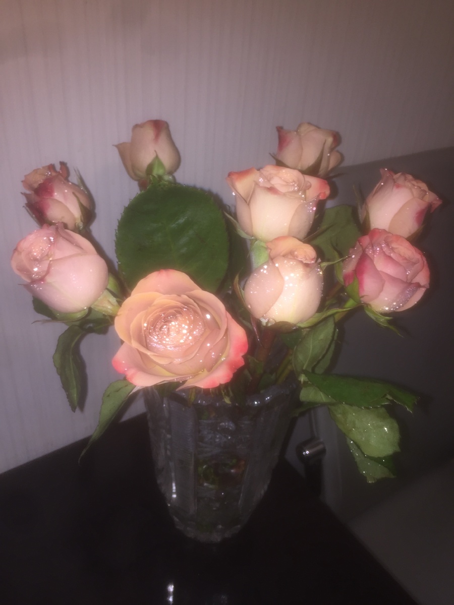 Розы цвета капучино