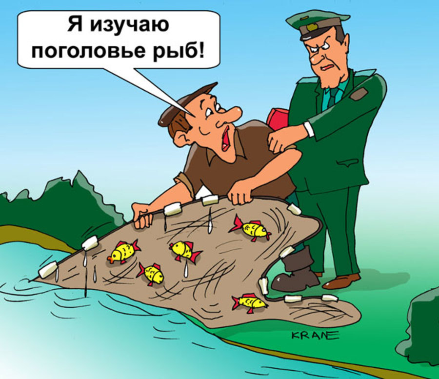 Вот такую рыбу поймал картинки