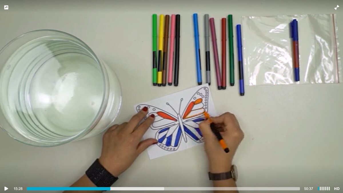 Фрагмент урока на телеканале ЕВА