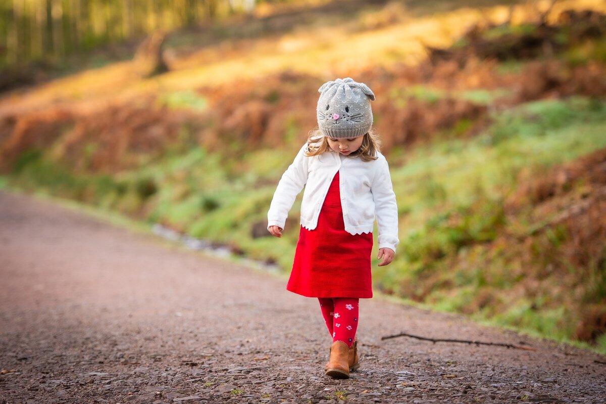 Изображение Julie Rose с сайта Pixabay 